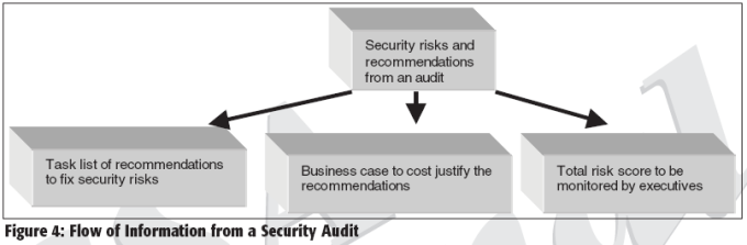 Figure 4: Flow of Information from a Security Audit